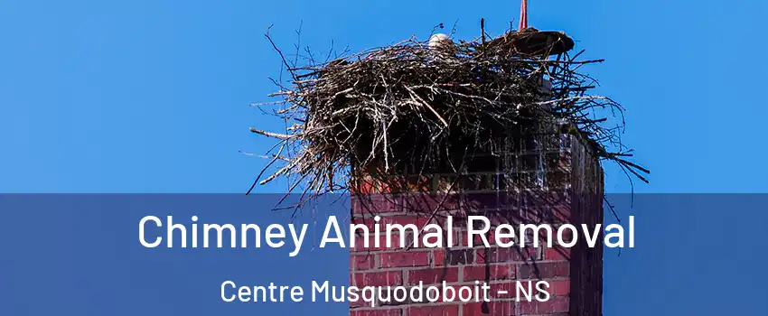 Chimney Animal Removal Centre Musquodoboit - NS