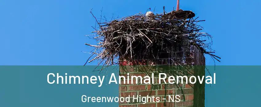 Chimney Animal Removal Greenwood Hights - NS