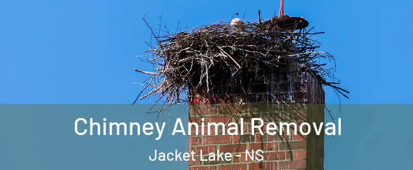 Chimney Animal Removal Jacket Lake - NS