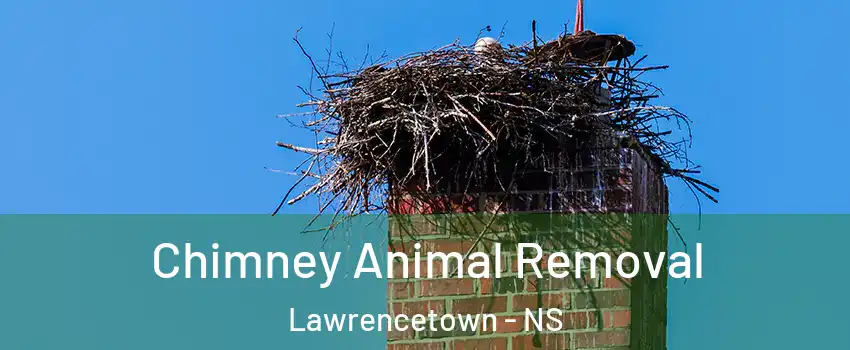 Chimney Animal Removal Lawrencetown - NS