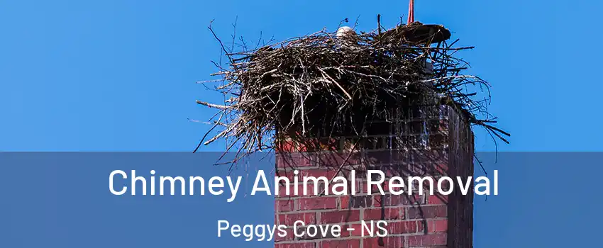 Chimney Animal Removal Peggys Cove - NS