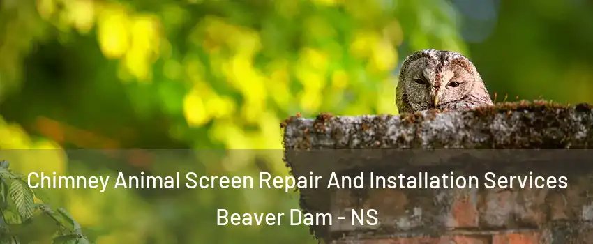 Chimney Animal Screen Repair And Installation Services Beaver Dam - NS