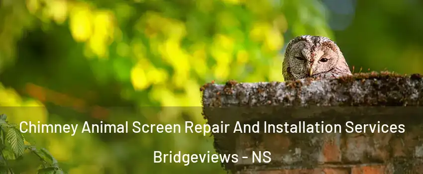 Chimney Animal Screen Repair And Installation Services Bridgeviews - NS