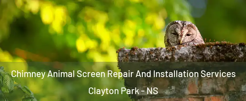 Chimney Animal Screen Repair And Installation Services Clayton Park - NS