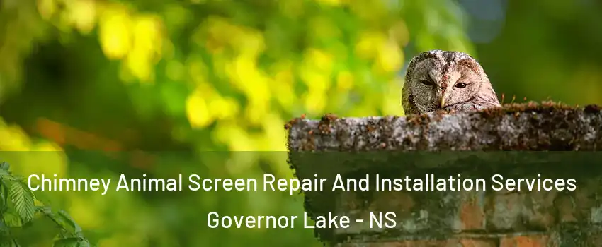 Chimney Animal Screen Repair And Installation Services Governor Lake - NS