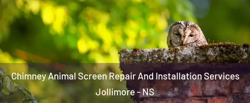 Chimney Animal Screen Repair And Installation Services Jollimore - NS