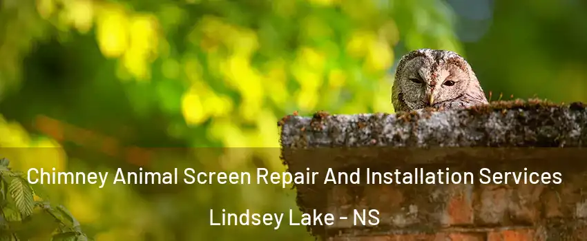 Chimney Animal Screen Repair And Installation Services Lindsey Lake - NS