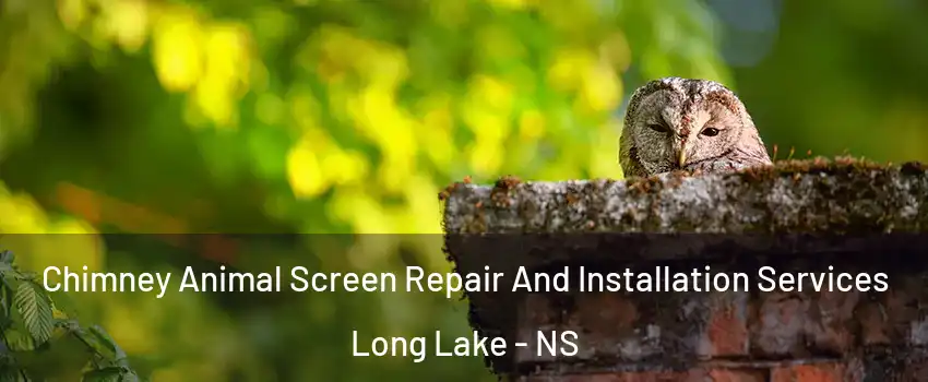 Chimney Animal Screen Repair And Installation Services Long Lake - NS
