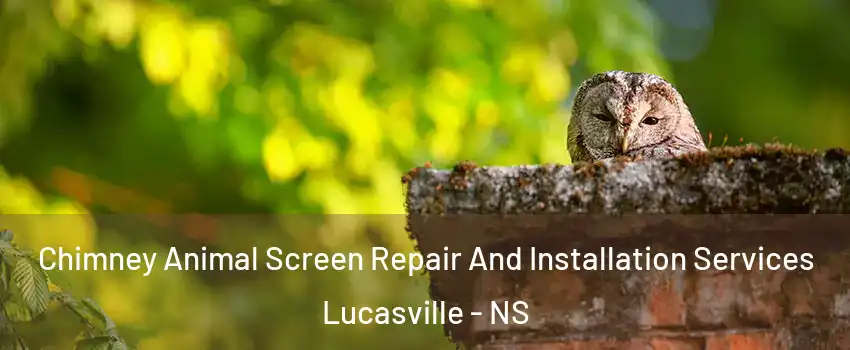 Chimney Animal Screen Repair And Installation Services Lucasville - NS