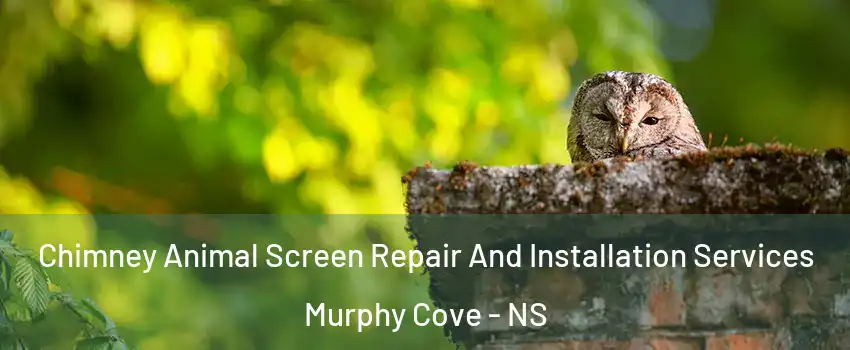Chimney Animal Screen Repair And Installation Services Murphy Cove - NS