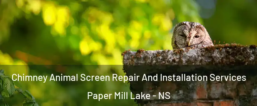 Chimney Animal Screen Repair And Installation Services Paper Mill Lake - NS