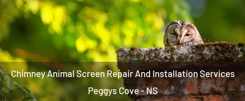 Chimney Animal Screen Repair And Installation Services Peggys Cove - NS