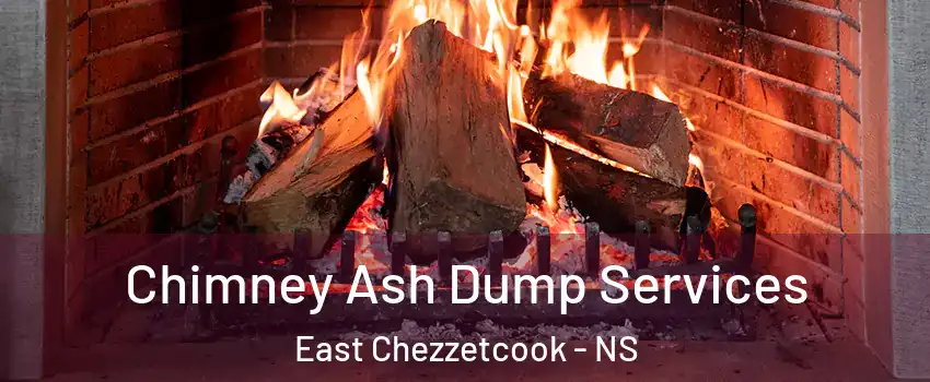 Chimney Ash Dump Services East Chezzetcook - NS
