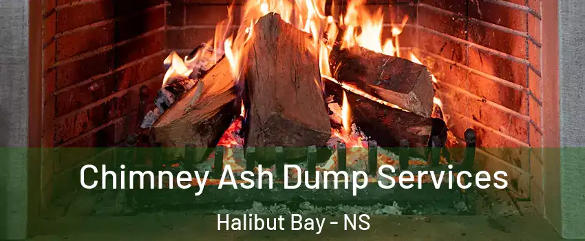 Chimney Ash Dump Services Halibut Bay - NS