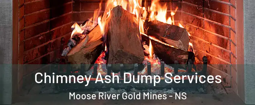 Chimney Ash Dump Services Moose River Gold Mines - NS