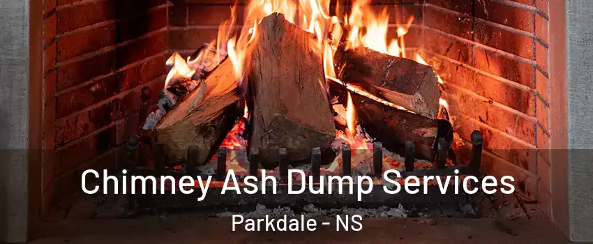 Chimney Ash Dump Services Parkdale - NS