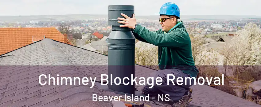 Chimney Blockage Removal Beaver Island - NS