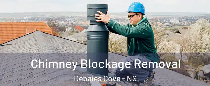 Chimney Blockage Removal Debaies Cove - NS