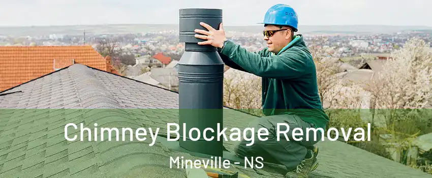 Chimney Blockage Removal Mineville - NS