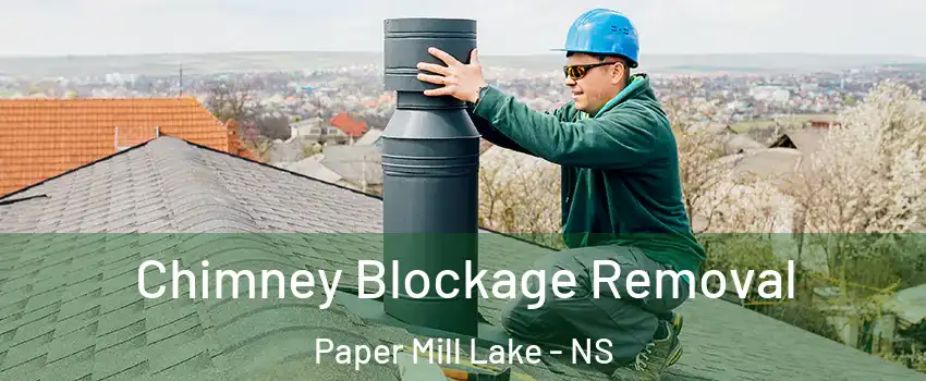 Chimney Blockage Removal Paper Mill Lake - NS