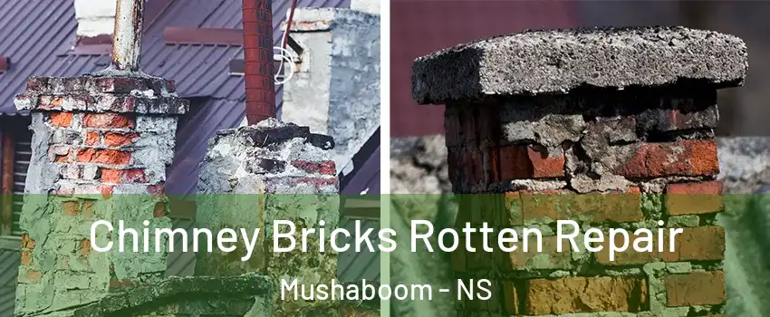 Chimney Bricks Rotten Repair Mushaboom - NS
