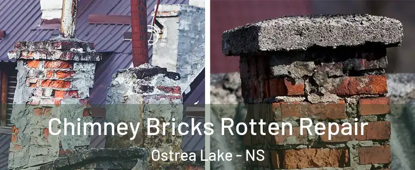 Chimney Bricks Rotten Repair Ostrea Lake - NS