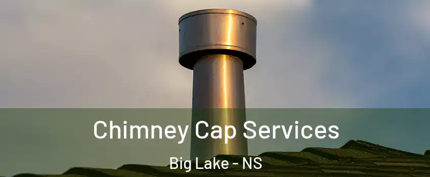 Chimney Cap Services Big Lake - NS