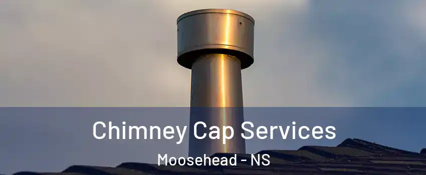 Chimney Cap Services Moosehead - NS