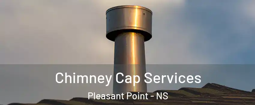 Chimney Cap Services Pleasant Point - NS