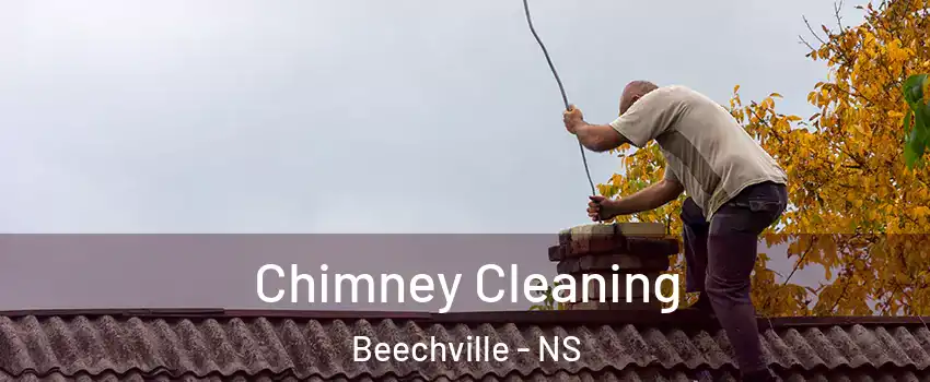 Chimney Cleaning Beechville - NS