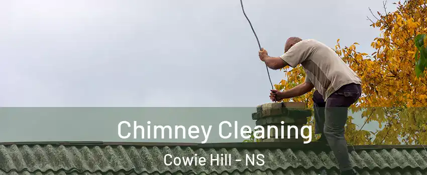 Chimney Cleaning Cowie Hill - NS