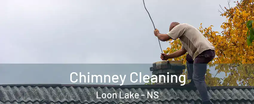 Chimney Cleaning Loon Lake - NS