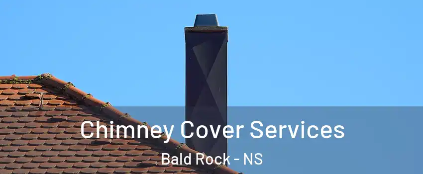 Chimney Cover Services Bald Rock - NS