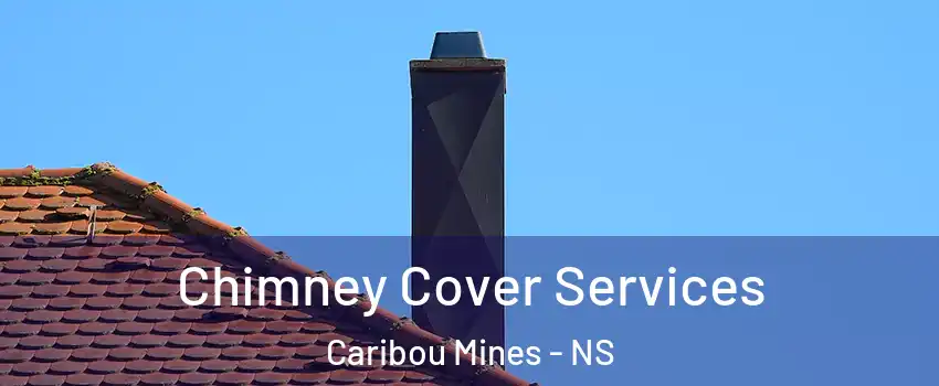 Chimney Cover Services Caribou Mines - NS
