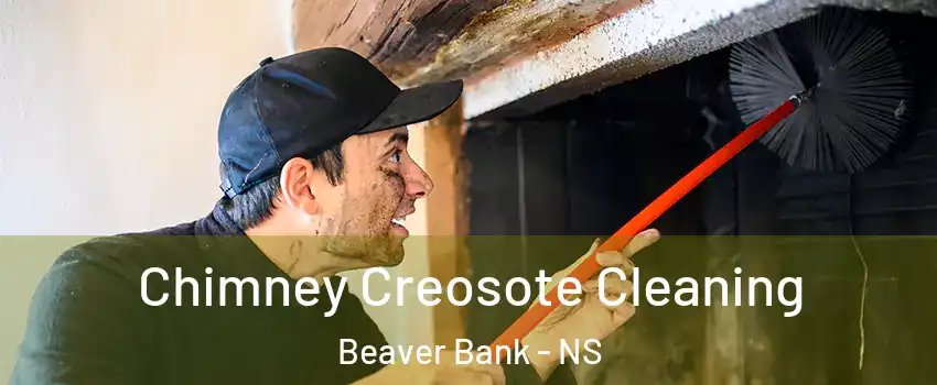 Chimney Creosote Cleaning Beaver Bank - NS