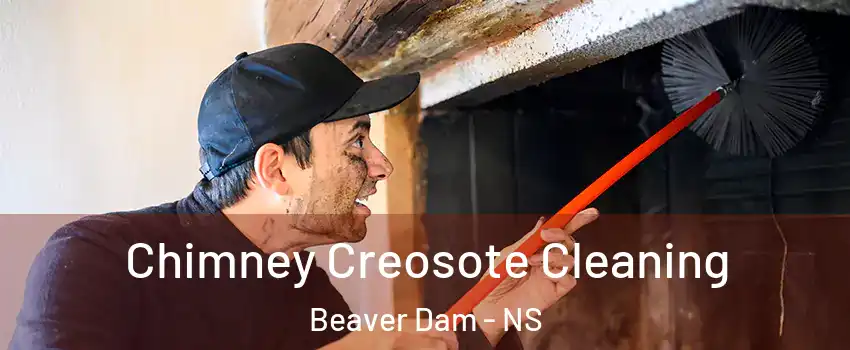 Chimney Creosote Cleaning Beaver Dam - NS