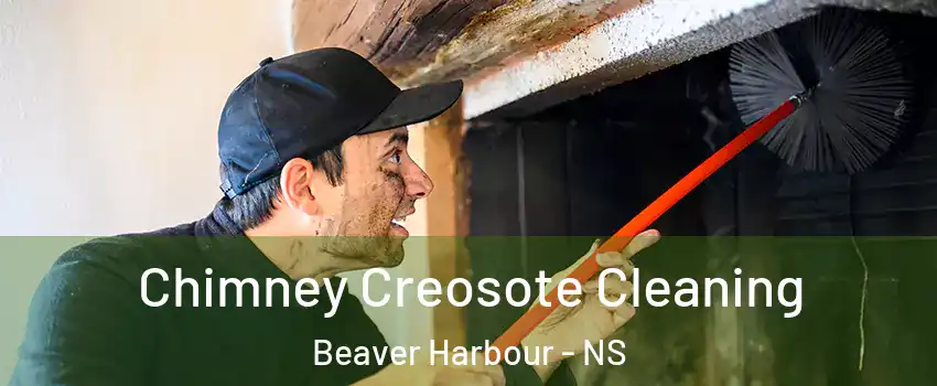 Chimney Creosote Cleaning Beaver Harbour - NS