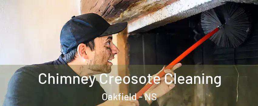 Chimney Creosote Cleaning Oakfield - NS