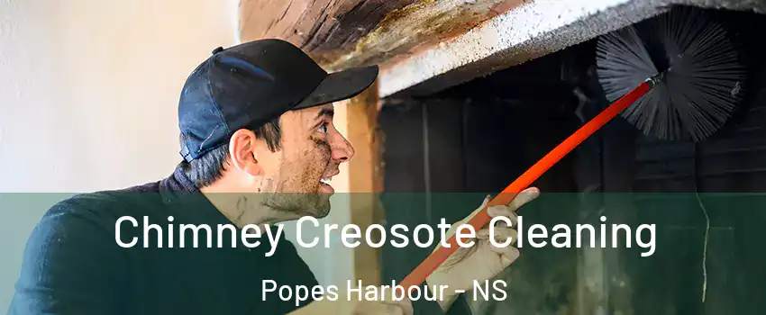 Chimney Creosote Cleaning Popes Harbour - NS