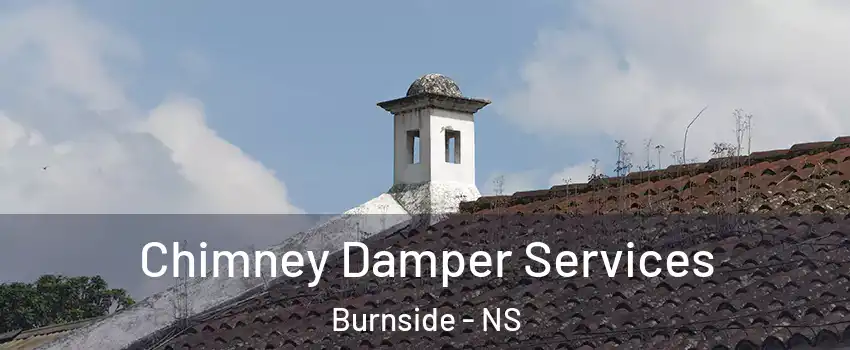 Chimney Damper Services Burnside - NS