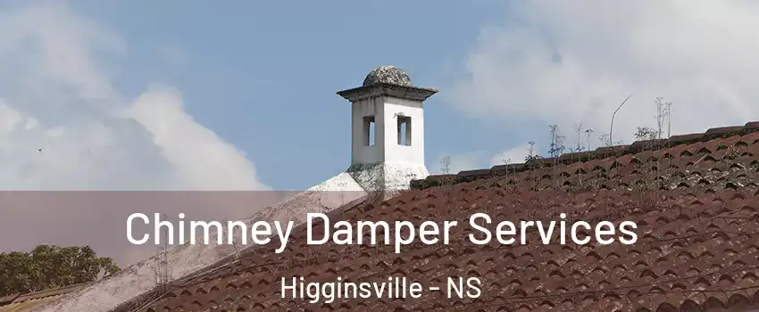 Chimney Damper Services Higginsville - NS
