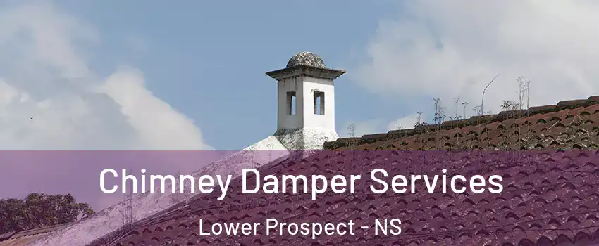 Chimney Damper Services Lower Prospect - NS