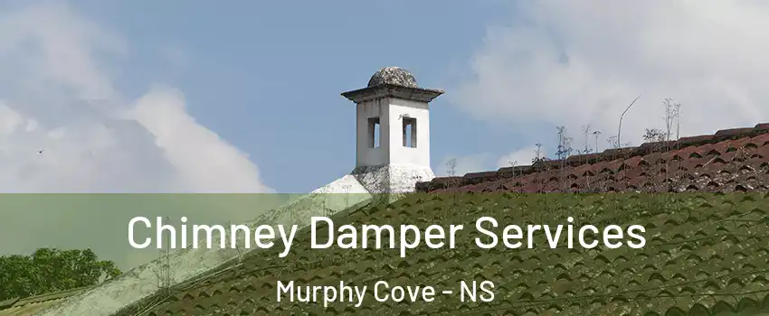 Chimney Damper Services Murphy Cove - NS