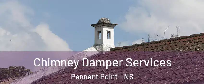 Chimney Damper Services Pennant Point - NS