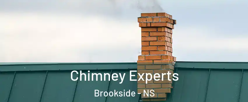 Chimney Experts Brookside - NS