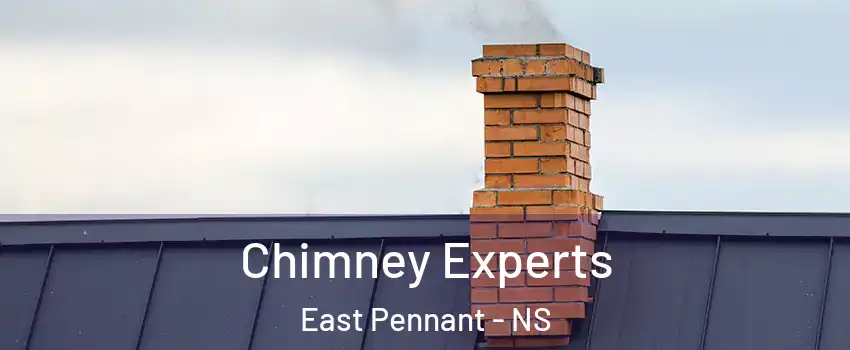 Chimney Experts East Pennant - NS