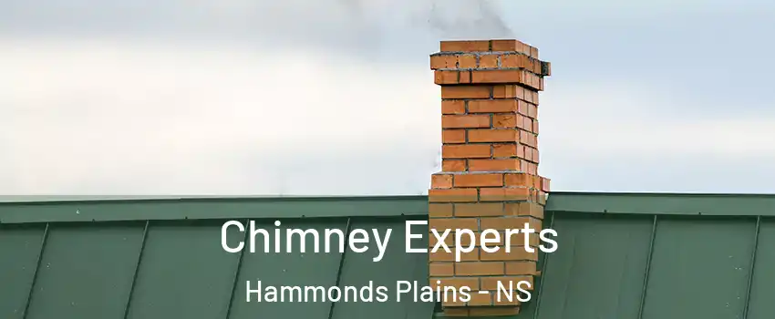 Chimney Experts Hammonds Plains - NS