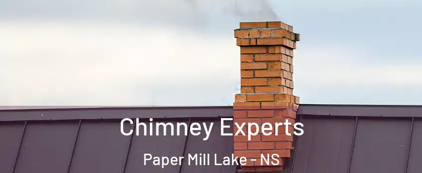 Chimney Experts Paper Mill Lake - NS