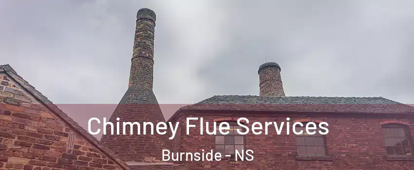 Chimney Flue Services Burnside - NS