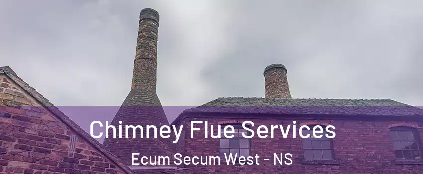 Chimney Flue Services Ecum Secum West - NS